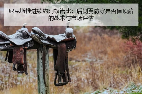 尼克斯推进续约阿奴诺比：后侧翼防守是否值顶薪的战术与市场评估
