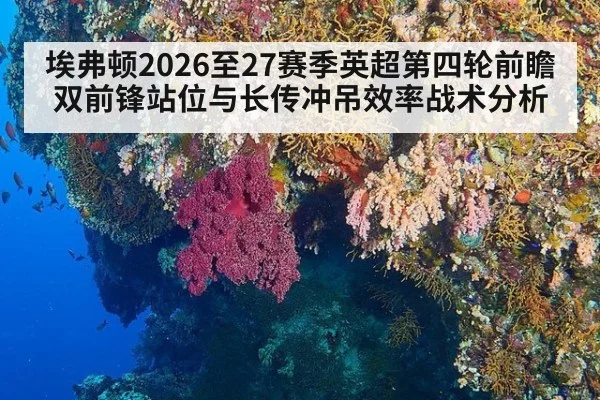 埃弗顿2026至27赛季英超第四轮前瞻 双前锋站位与长传冲吊效率战术分析